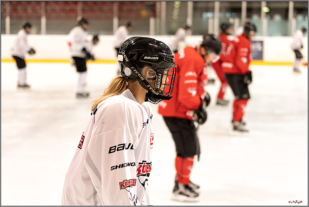 Sponsorentraining Kölner Haie 8.6.2022, 08.06.2022